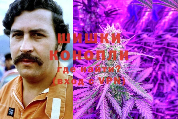 МДПВ Алексин