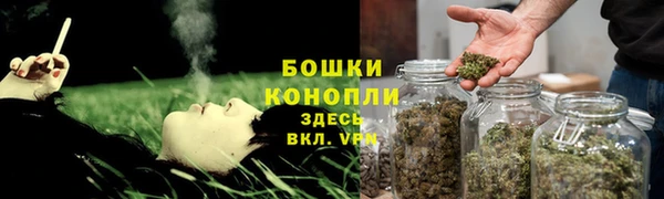 трава Абаза