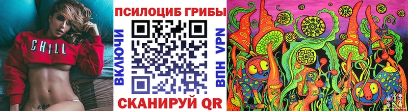 маркетплейс клад  Тырныауз  Галлюциногенные грибы Psilocybe 